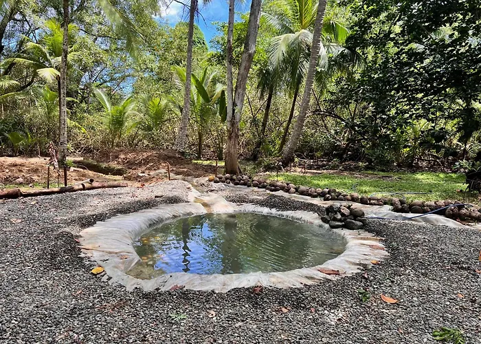 La Palapa Hut Nature Hostel