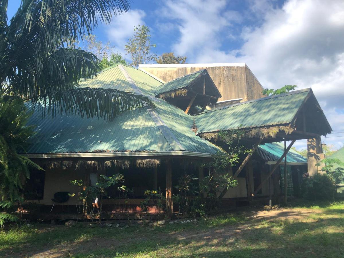 La Palapa Hut Nature * Puerto Jiménez