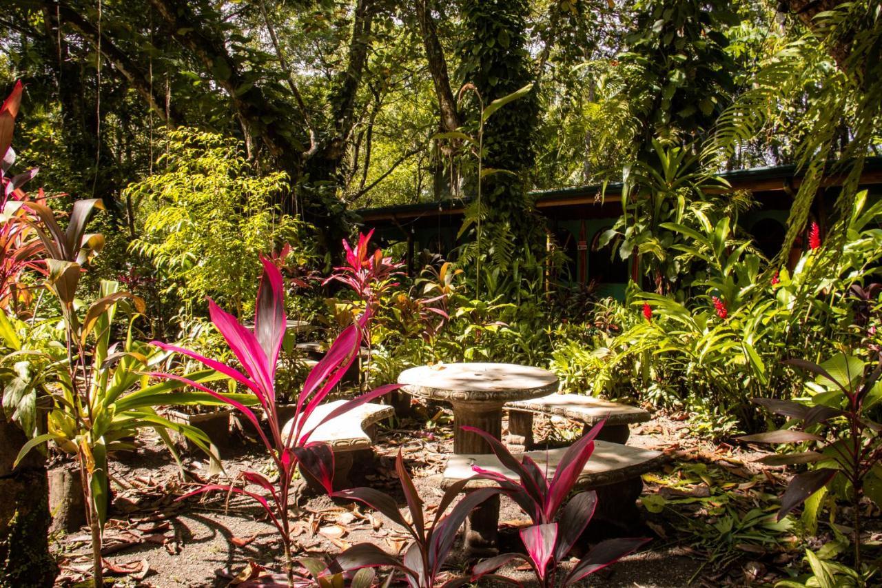 La Palapa Hut Nature Puerto Jiménez