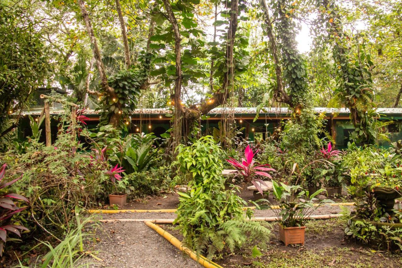 La Palapa Hut Nature * Puerto Jimenez