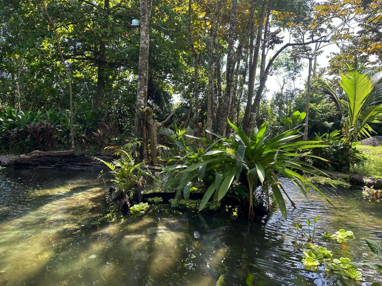 La Palapa Hut Nature