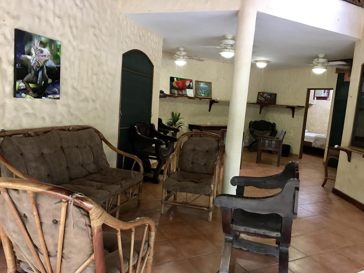 Hostel La Palapa Hut Nature